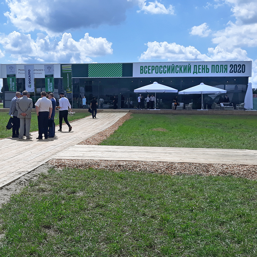 სრულიად რუსული საველე დღე 2020